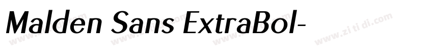 Malden Sans ExtraBol字体转换